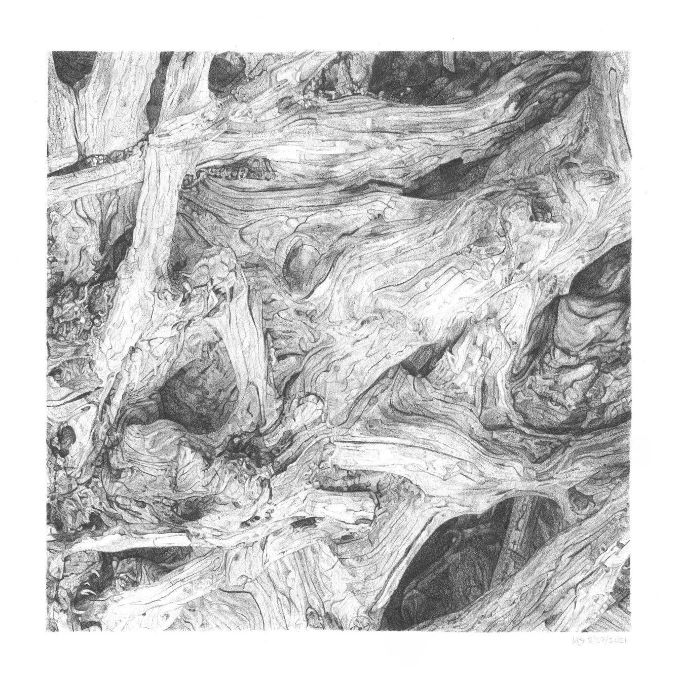 Driftwood+4+2021-02-27.jpg?